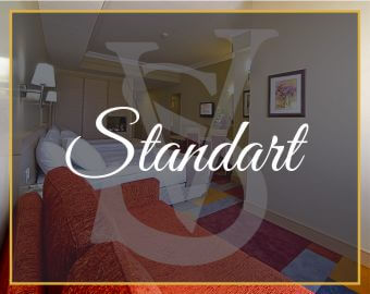 standart-oda-sv-business-hotel